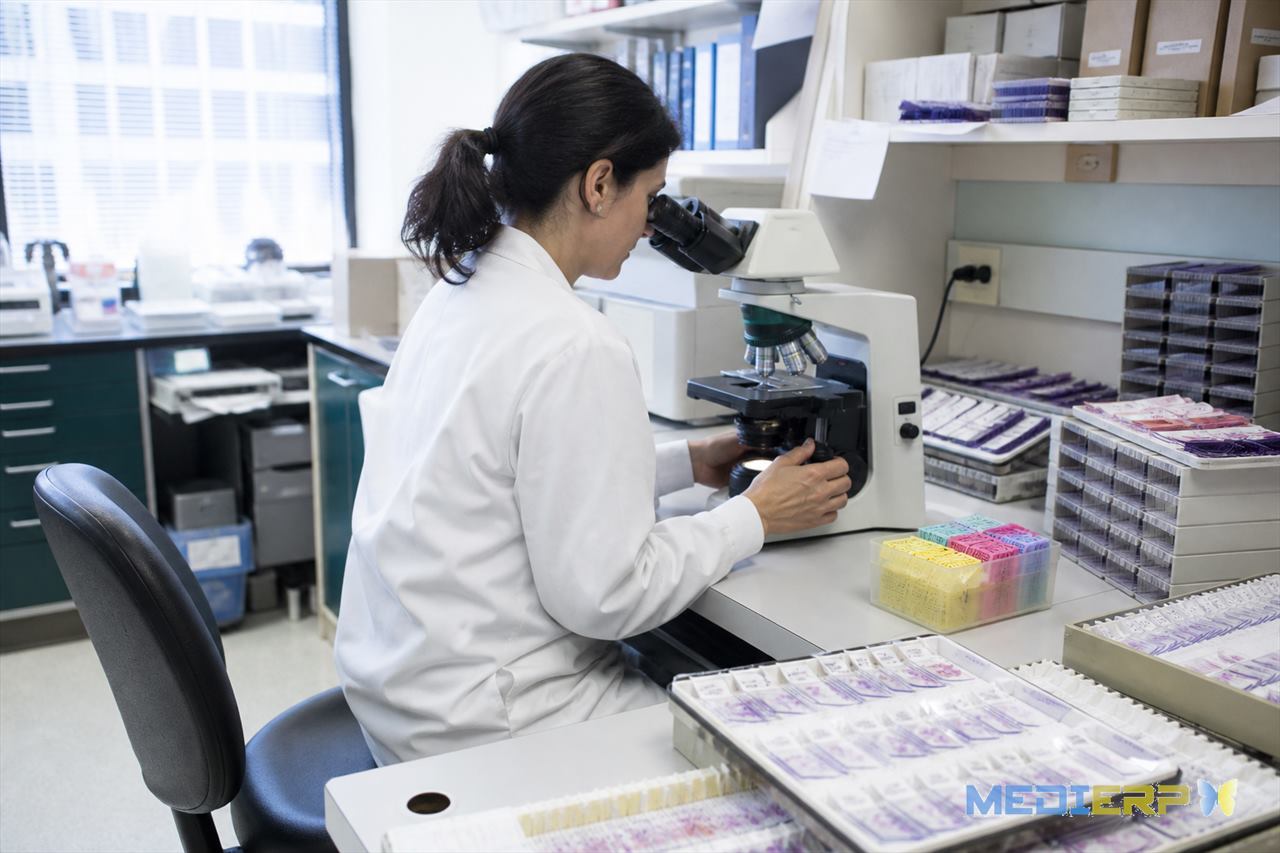 Histopathology